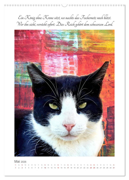 Katzenlyrik - Zwölf Seelen auf Samtpfoten in Wort und Bild (CALVENDO Premium Wandkalender 2026)