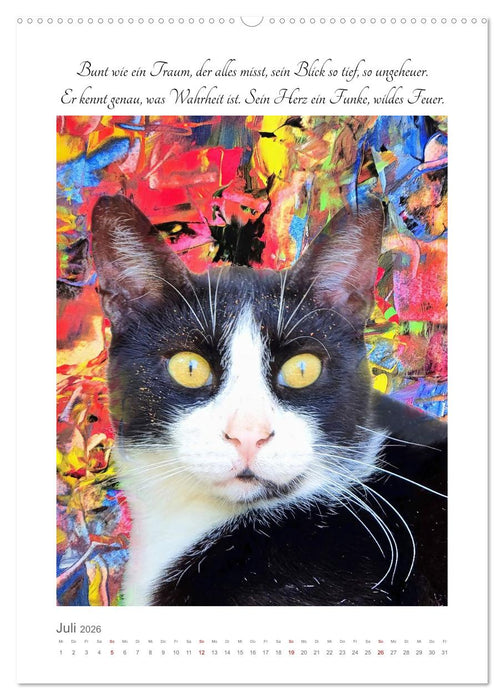 Katzenlyrik - Zwölf Seelen auf Samtpfoten in Wort und Bild (CALVENDO Premium Wandkalender 2026)