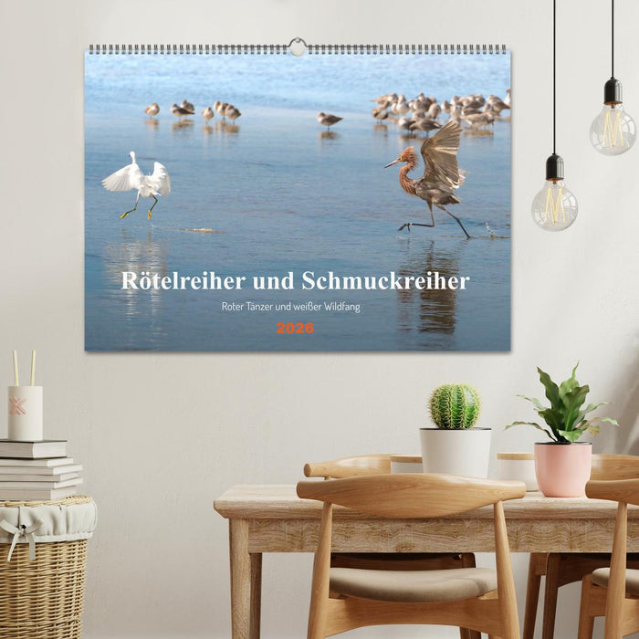 Rötelreiher und Schmuckreiher (CALVENDO Wandkalender 2026)
