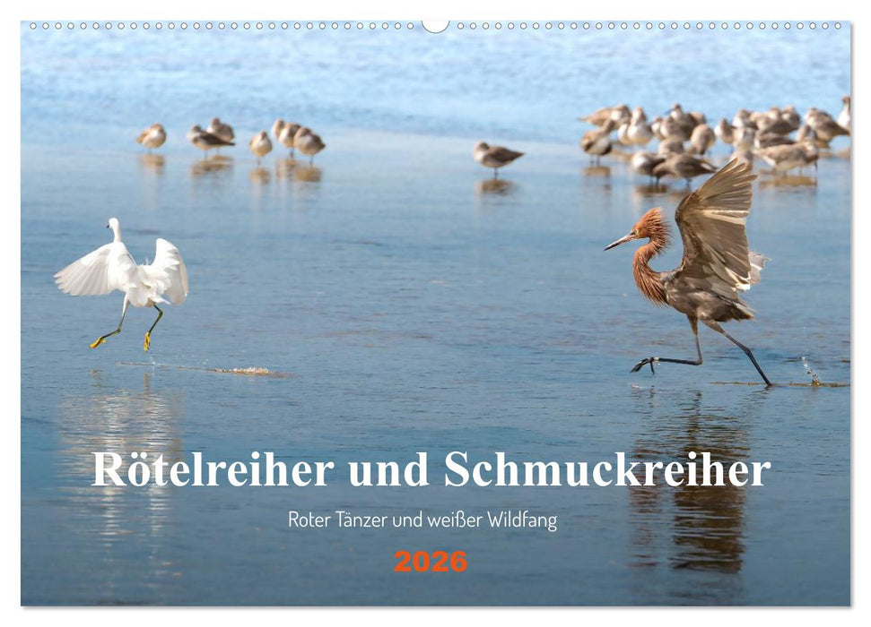 Rötelreiher und Schmuckreiher (CALVENDO Wandkalender 2026)
