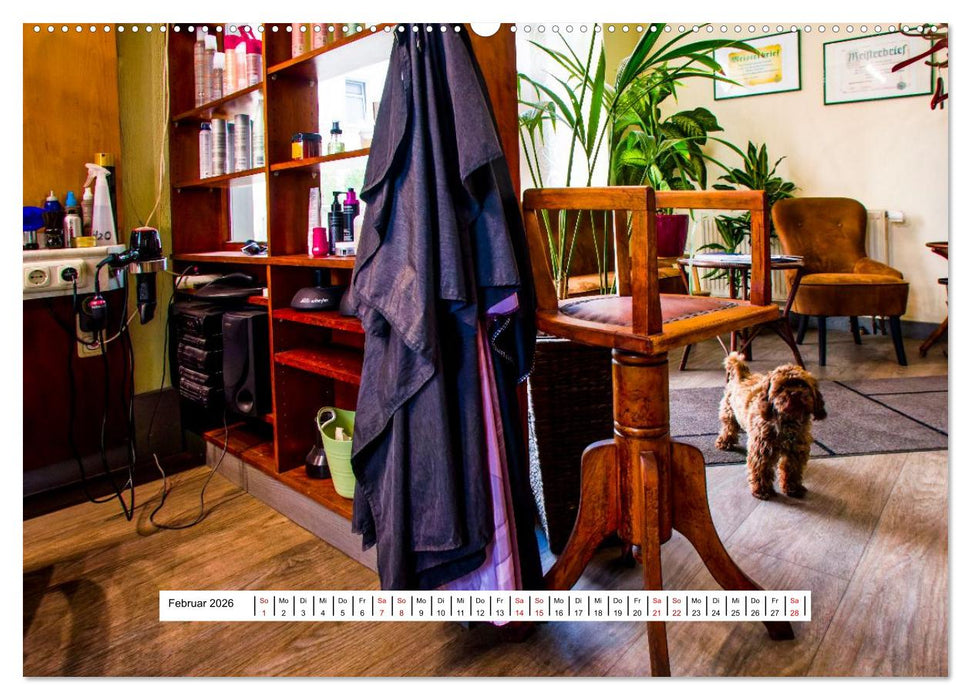 Friseursalons rund um den Globus (CALVENDO Premium Wandkalender 2026)