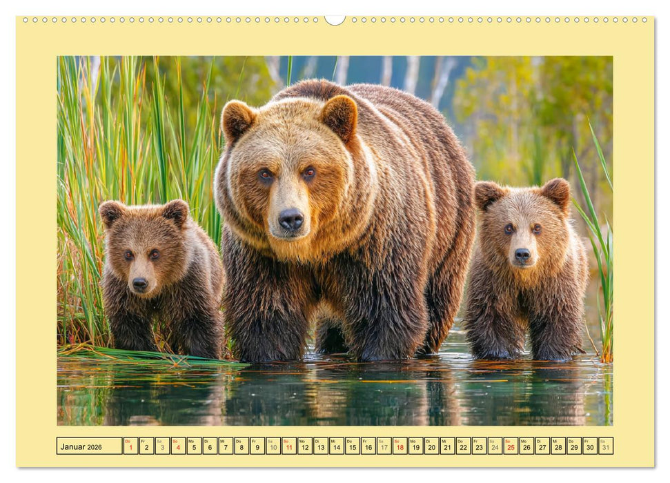 Im Herz der Wildnis. Die beeindruckende Stärke und Stille der Bären (CALVENDO Premium Wandkalender 2026)
