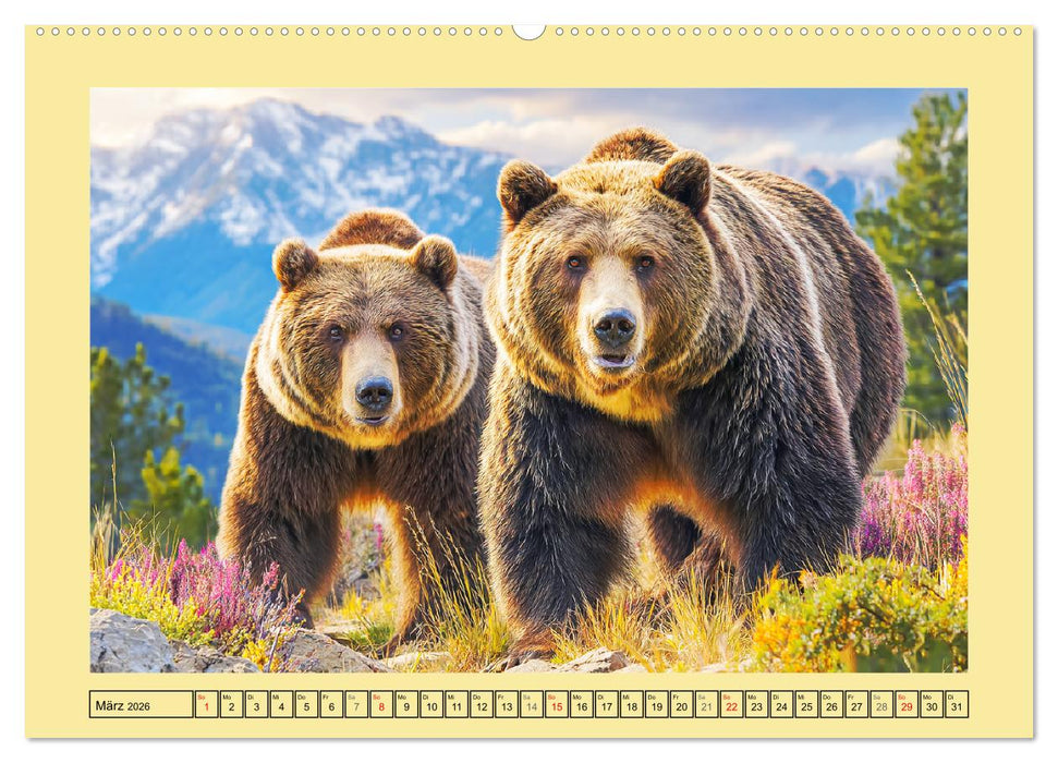 Im Herz der Wildnis. Die beeindruckende Stärke und Stille der Bären (CALVENDO Premium Wandkalender 2026)