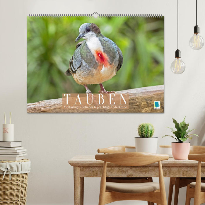 Tauben: vielfarbiges Gefieder und prächtige Federkrone (CALVENDO Wandkalender 2026)