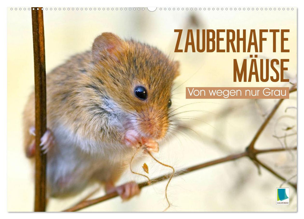 Zauberhafte Mäuse: Von wegen nur Grau (CALVENDO Wandkalender 2026)