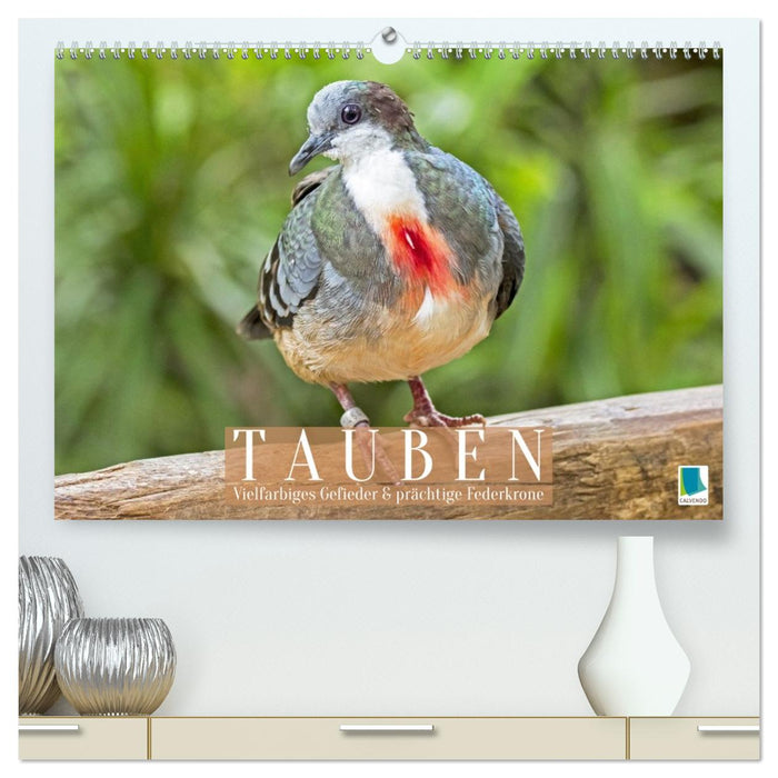 Tauben: vielfarbiges Gefieder und prächtige Federkrone (CALVENDO Premium Wandkalender 2026)