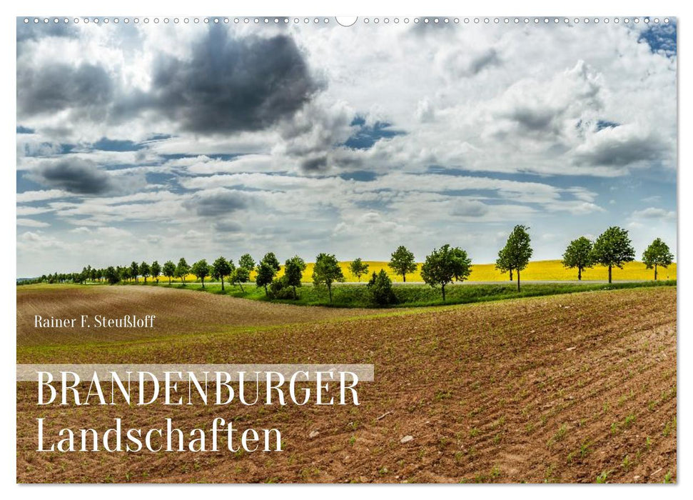 Brandenburger Landschaften (CALVENDO Wandkalender 2026)