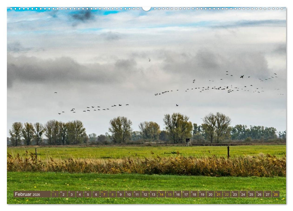 Brandenburger Landschaften (CALVENDO Wandkalender 2026)