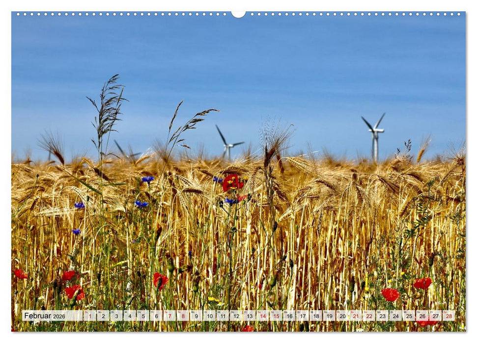 Fischland: zwischen Ostsee und Bodden (CALVENDO Wandkalender 2026)