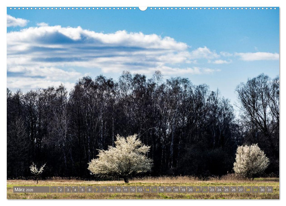 Brandenburger Landschaften (CALVENDO Premium Wandkalender 2026)