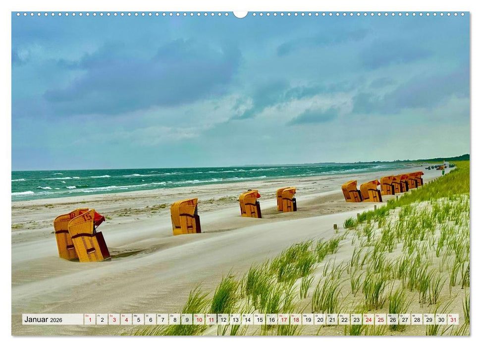 Fischland: zwischen Ostsee und Bodden (CALVENDO Premium Wandkalender 2026)