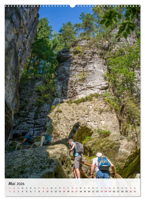 Sächsische Schweiz - Unterwegs im schönen Elbsandsteingebirge (CALVENDO Premium Wandkalender 2026)