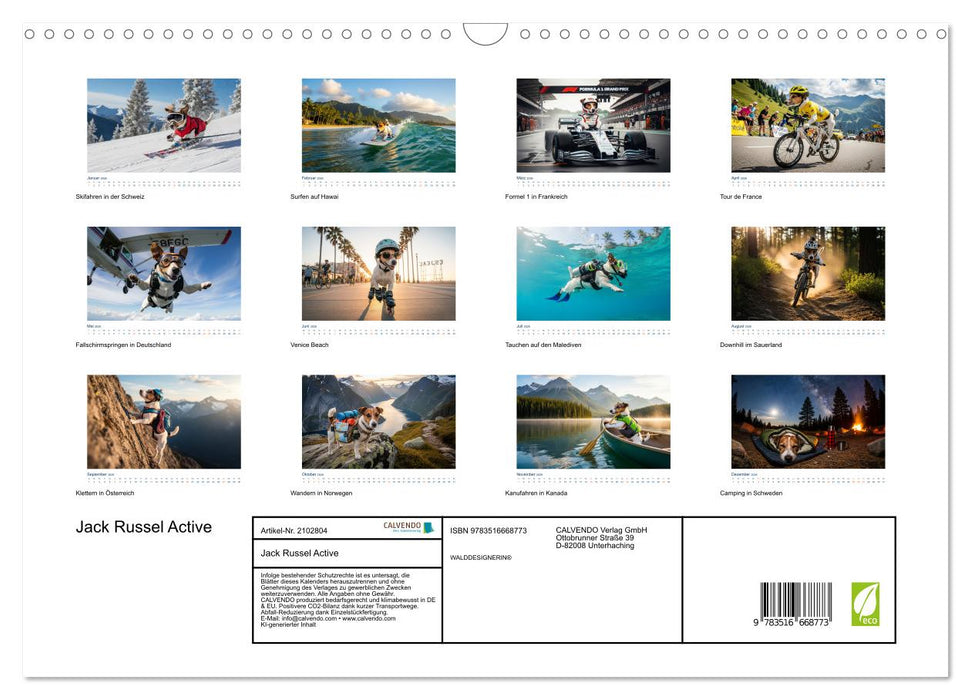 Jack Russel Active (CALVENDO Wandkalender 2026)