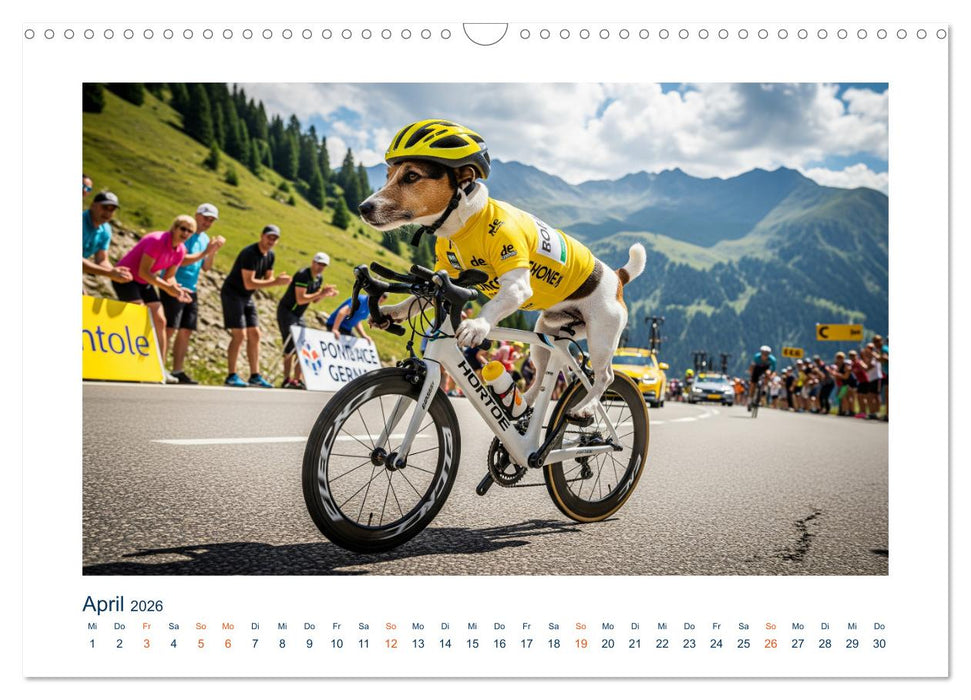 Jack Russel Active (CALVENDO Wandkalender 2026)