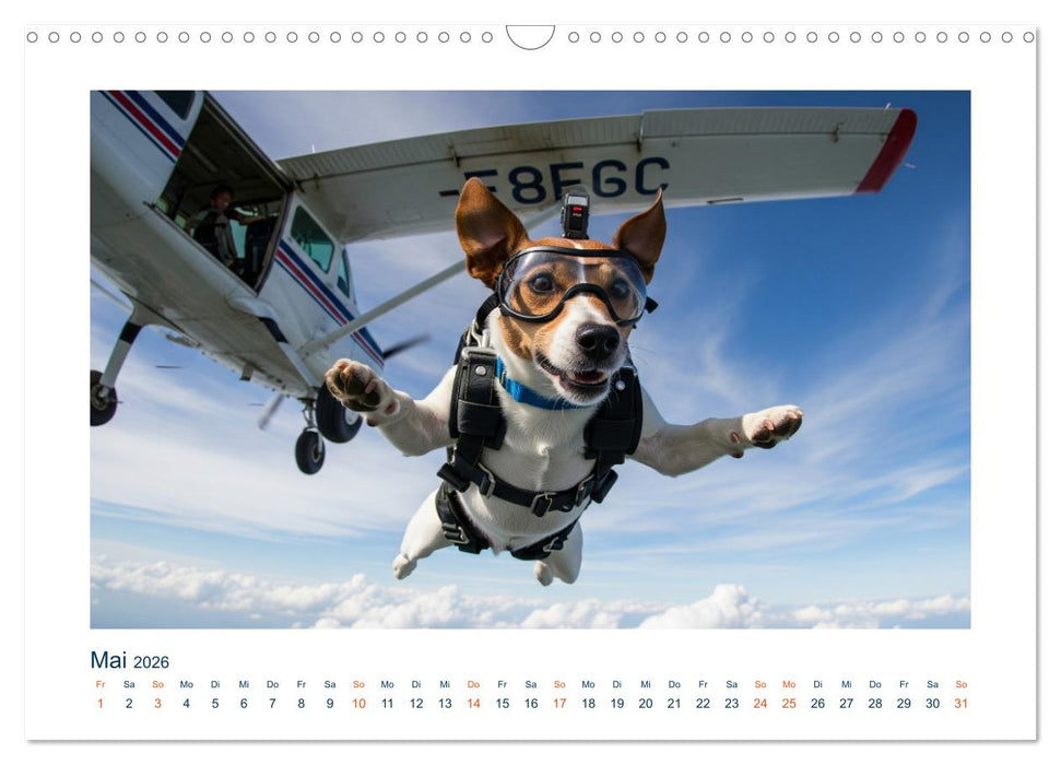 Jack Russel Active (CALVENDO Wandkalender 2026)