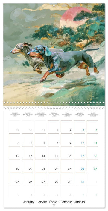 Dachshunds Illustrations - A hunter with humorous nature (CALVENDO Monthly Calendar 2026)