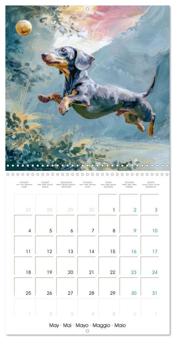 Dachshunds Illustrations - A hunter with humorous nature (CALVENDO Monthly Calendar 2026)