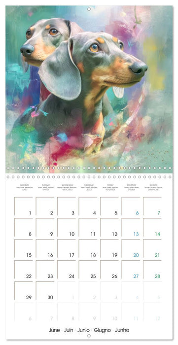 Dachshunds Illustrations - A hunter with humorous nature (CALVENDO Monthly Calendar 2026)