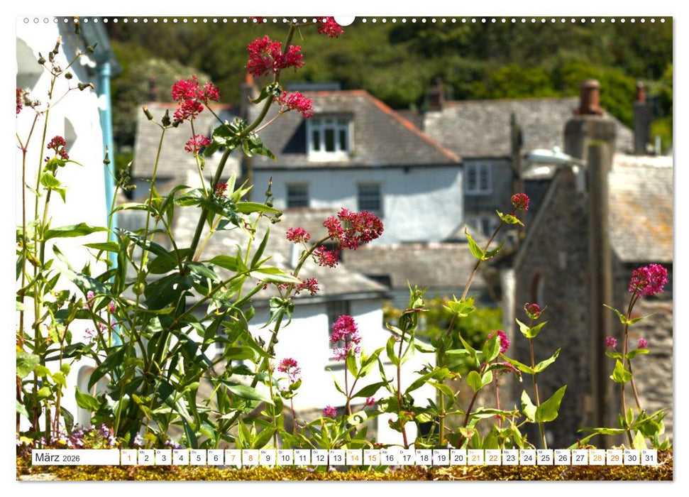 Port Isaac, Heimat der Fishermen`s Friends (CALVENDO Wandkalender 2026)