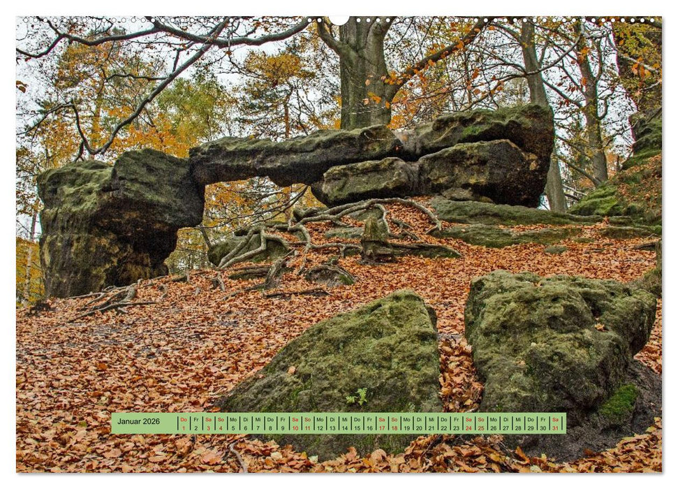 Sächsische Schweiz - Erlebnisse eines Herbsturlaubs (CALVENDO Wandkalender 2026)