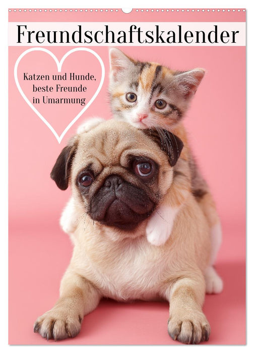 Freundschaftskalender - Katzen und Hunde, beste Freunde in Umarmung (CALVENDO Wandkalender 2026)