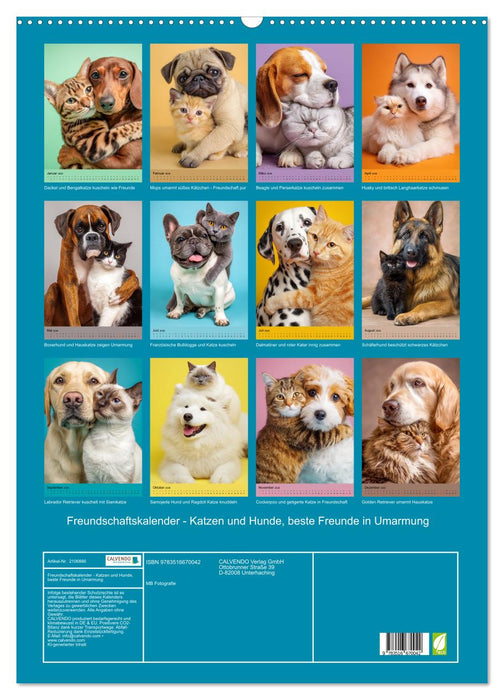 Freundschaftskalender - Katzen und Hunde, beste Freunde in Umarmung (CALVENDO Wandkalender 2026)