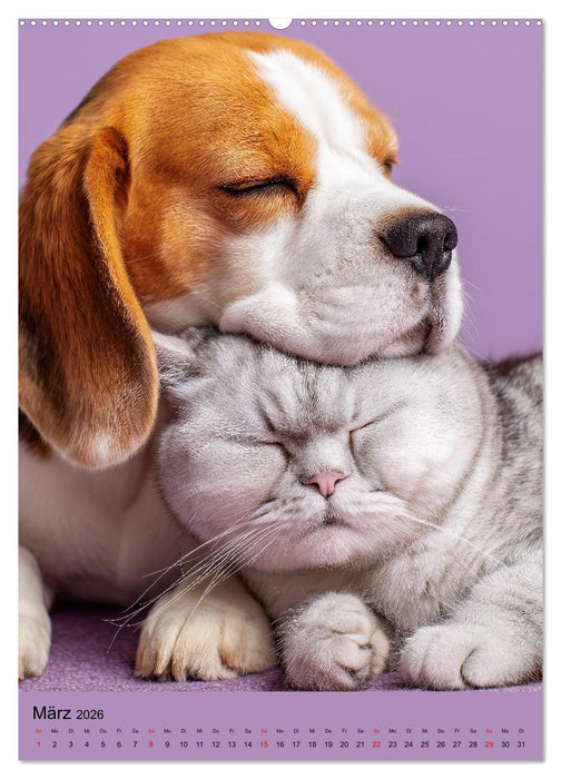 Freundschaftskalender - Katzen und Hunde, beste Freunde in Umarmung (CALVENDO Premium Wandkalender 2026)