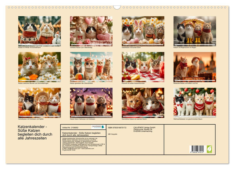 Katzenkalender - Süße Katzen begleiten dich durch alle Jahreszeiten (CALVENDO Wandkalender 2026)