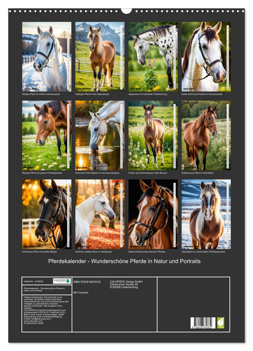 Pferdekalender - Wunderschöne Pferde in Natur und Portraits (CALVENDO Wandkalender 2026)