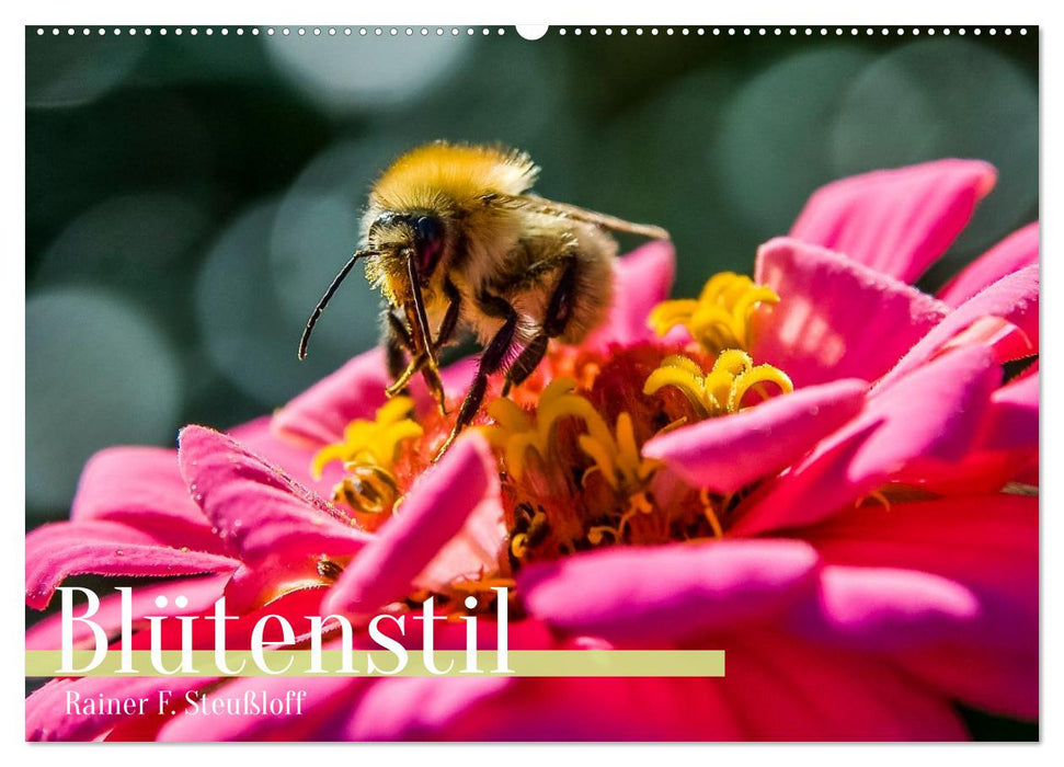 Blütenstil (CALVENDO Wandkalender 2026)