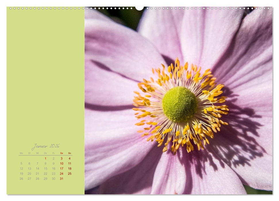 Blütenstil (CALVENDO Wandkalender 2026)