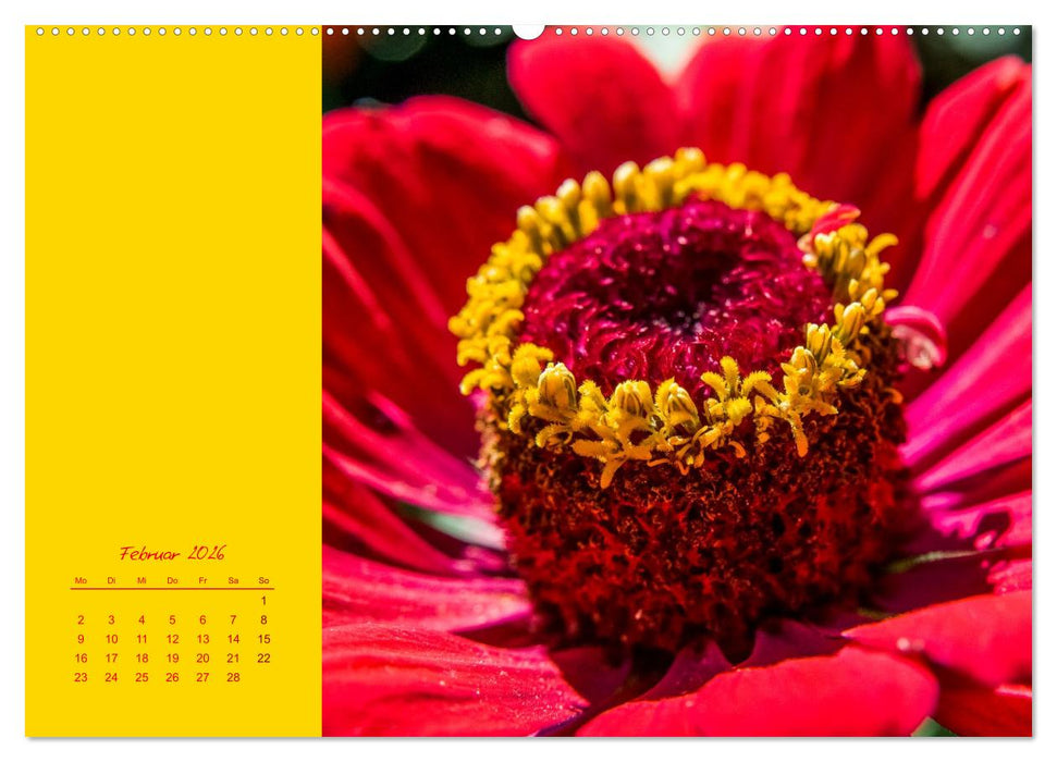 Blütenstil (CALVENDO Wandkalender 2026)