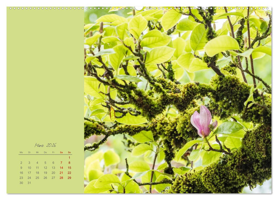 Blütenstil (CALVENDO Wandkalender 2026)
