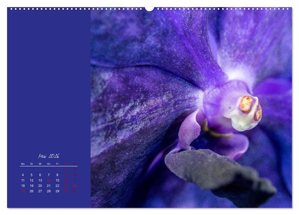 Blütenstil (CALVENDO Wandkalender 2026)