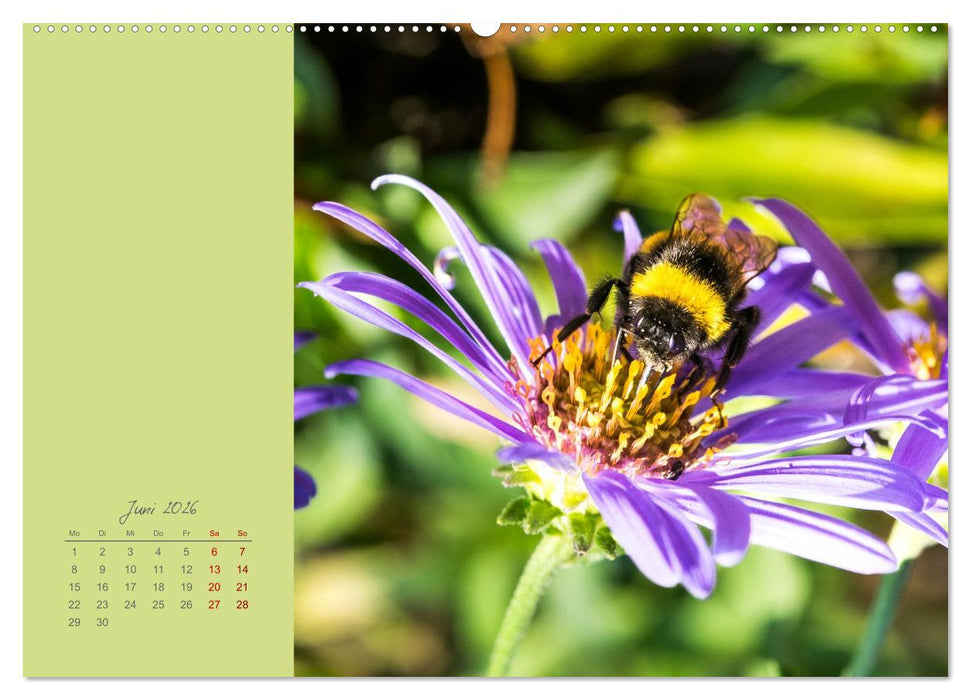 Blütenstil (CALVENDO Wandkalender 2026)