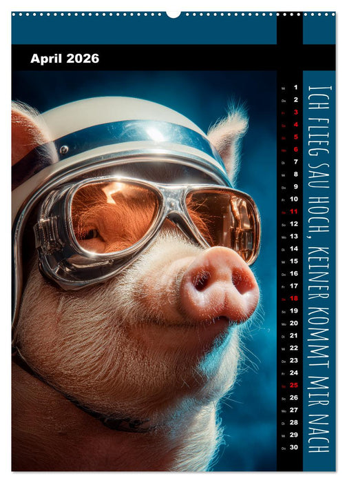 Coole Sau - Lustiger Sprüche Kalender mit witzigen Schweinchen (CALVENDO Wandkalender 2026)