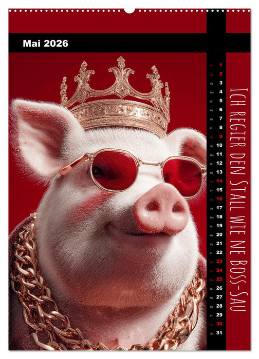 Coole Sau - Lustiger Sprüche Kalender mit witzigen Schweinchen (CALVENDO Wandkalender 2026)