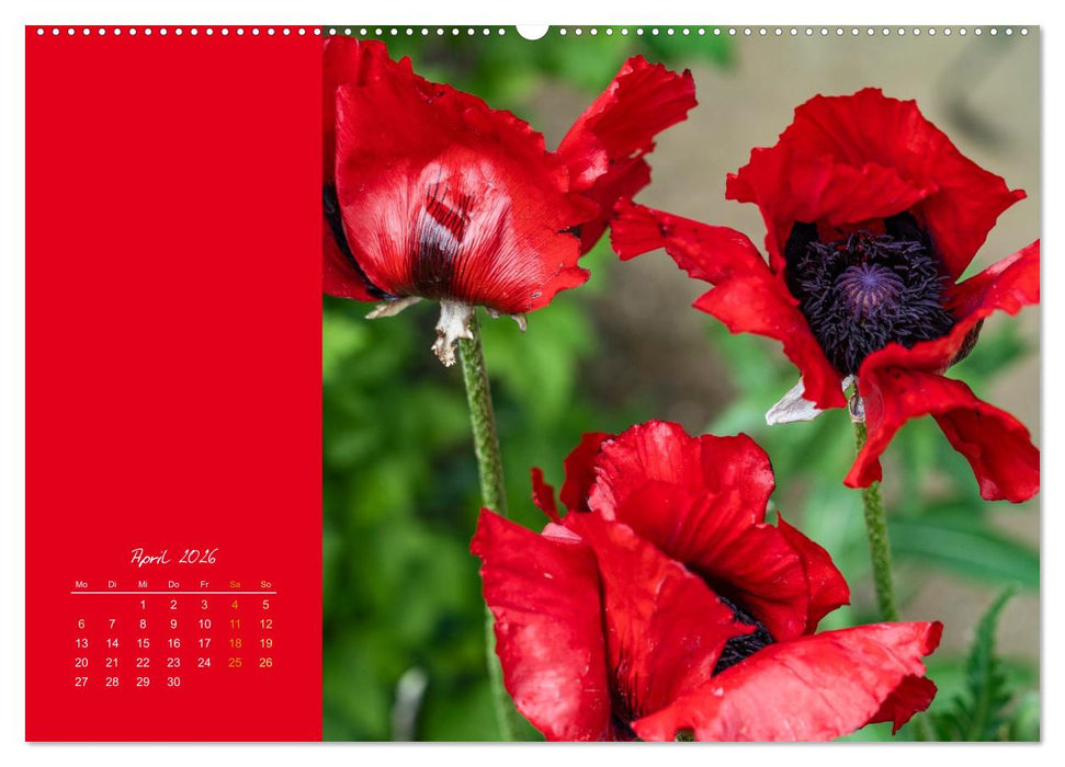 Blütenstil (CALVENDO Premium Wandkalender 2026)