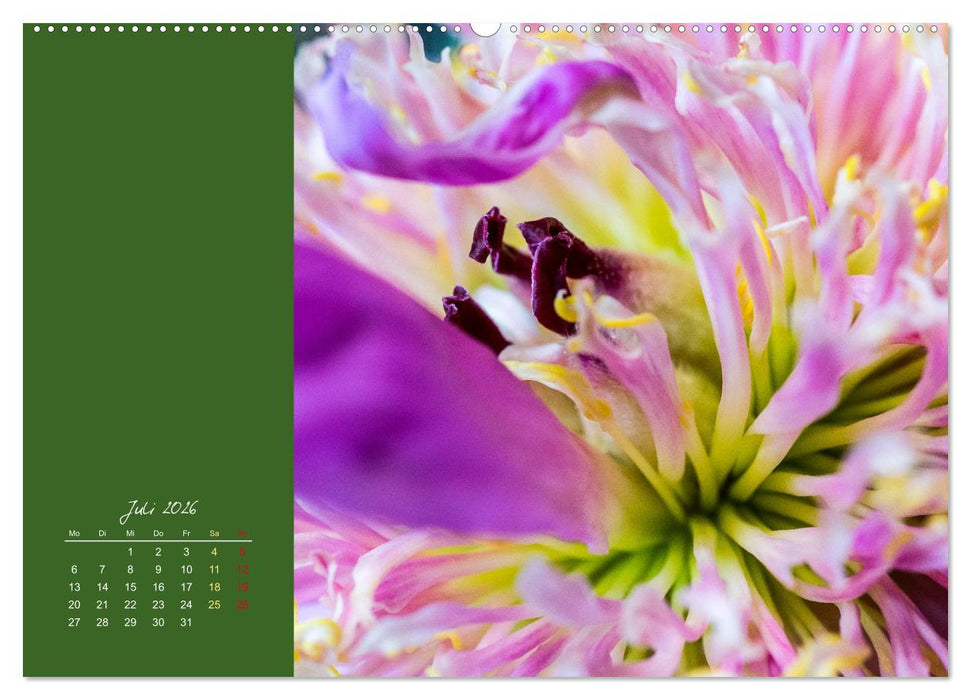 Blütenstil (CALVENDO Premium Wandkalender 2026)