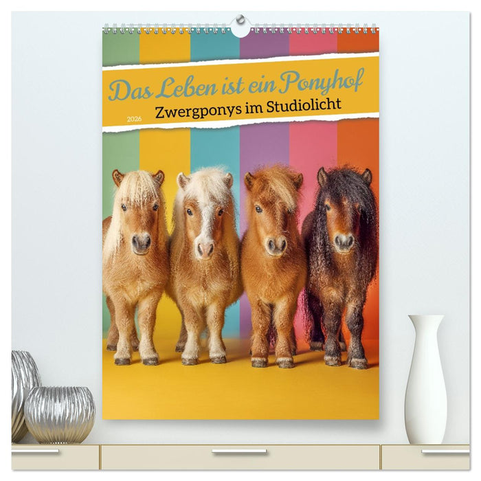 Das Leben ist ein Ponyhof - Zwergponys im Studiolicht (CALVENDO Premium Wandkalender 2026)