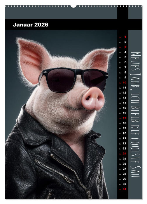 Coole Sau - Lustiger Sprüche Kalender mit witzigen Schweinchen (CALVENDO Premium Wandkalender 2026)