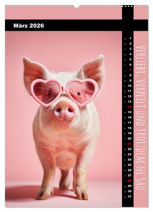 Coole Sau - Lustiger Sprüche Kalender mit witzigen Schweinchen (CALVENDO Premium Wandkalender 2026)