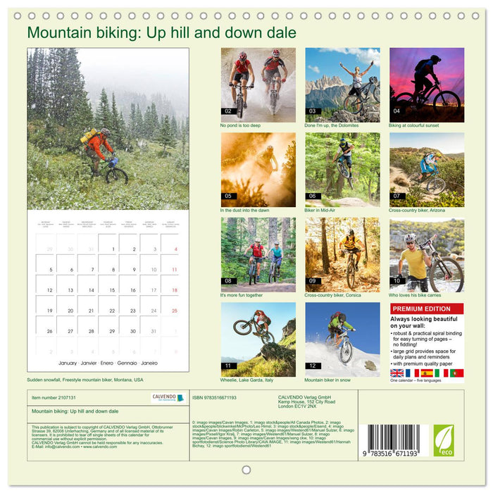 Mountain biking: Up hill and down dale (CALVENDO Monthly Calendar 2026)
