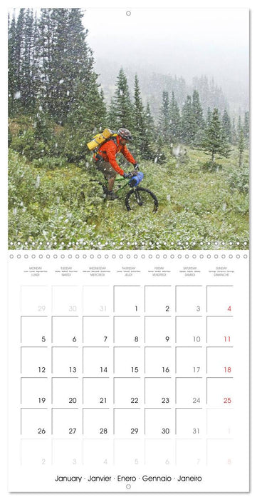 Mountain biking: Up hill and down dale (CALVENDO Monthly Calendar 2026)