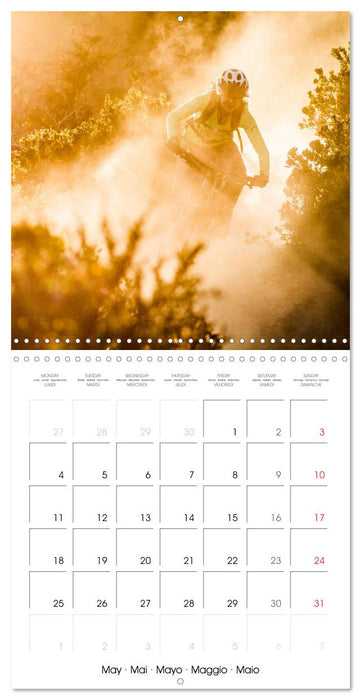 Mountain biking: Up hill and down dale (CALVENDO Monthly Calendar 2026)