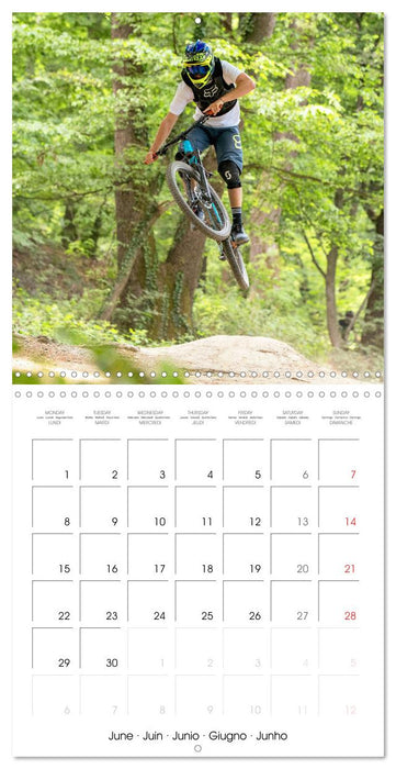 Mountain biking: Up hill and down dale (CALVENDO Monthly Calendar 2026)