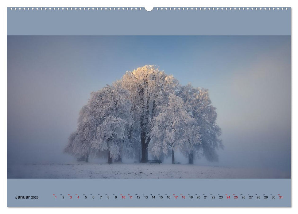 Fogscapes - magische Nebellandschaften (CALVENDO Wandkalender 2026)