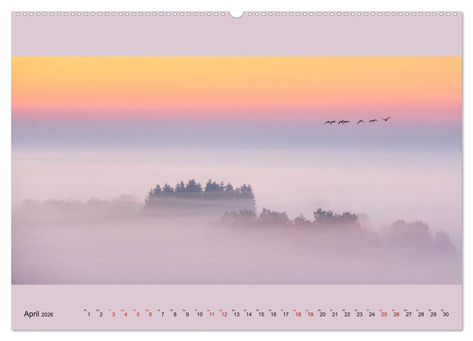 Fogscapes - magische Nebellandschaften (CALVENDO Wandkalender 2026)