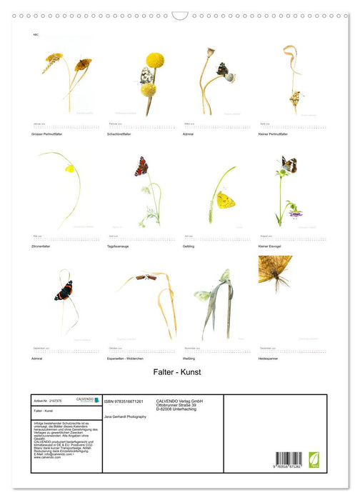 Falter - Kunst (CALVENDO Wandkalender 2026)