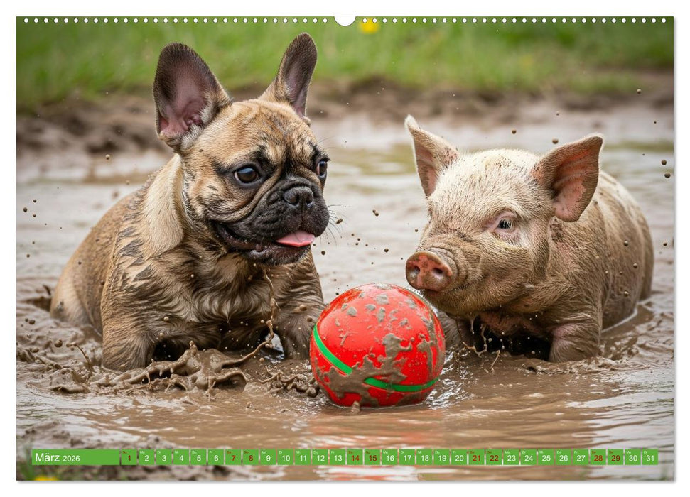 Muddi Buddies – Freundschaft im Matsch (CALVENDO Wandkalender 2026)